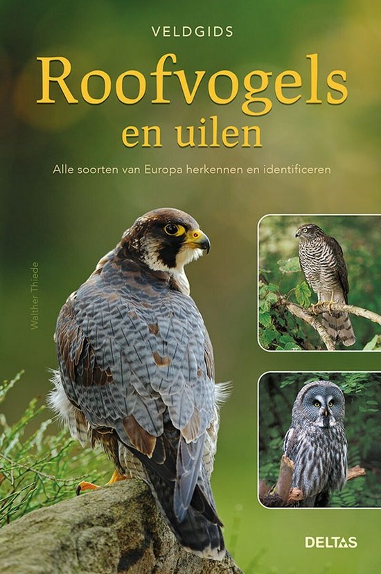 Veldgids - Roofvogels en uilen Alle soorten van Europa herkennen en identificeren