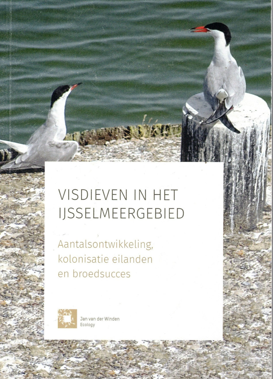 Visdieven in het ijsselmeergebied