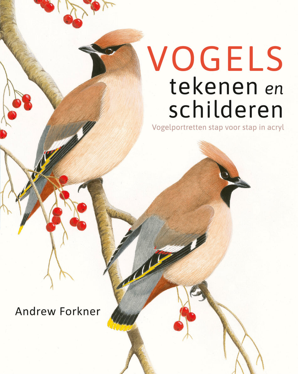 Vogels tekenen en schilderen  --  Vogelportretten stap voor stap in acryl