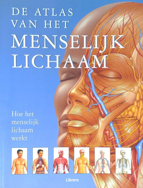 Atlas van het menselijk lichaam  --  Hoe het menselijk lichaam werkt