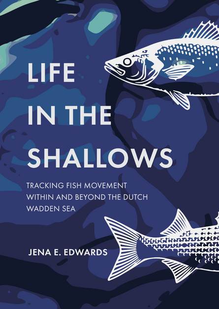 Life in the shallows  --  Tracking fish movement within and beyond the Dutch Wadden Sea