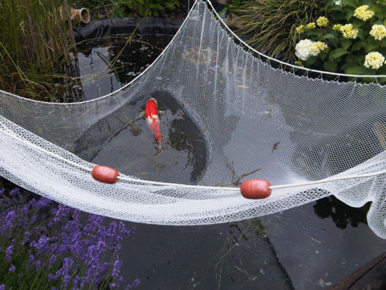 Koi Vijvernet 5 m lang 2.20 diep ( voor vijver 4 meter )