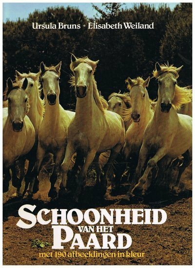 Schoonheid van het paard - 2e-hands in goede staat