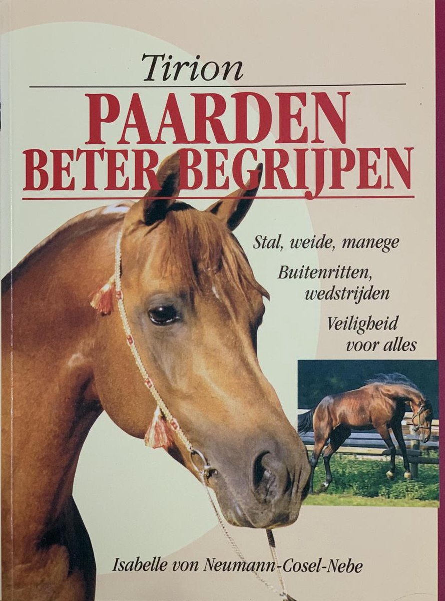 Paarden beter begrijpen - 2e-hands in goede staat