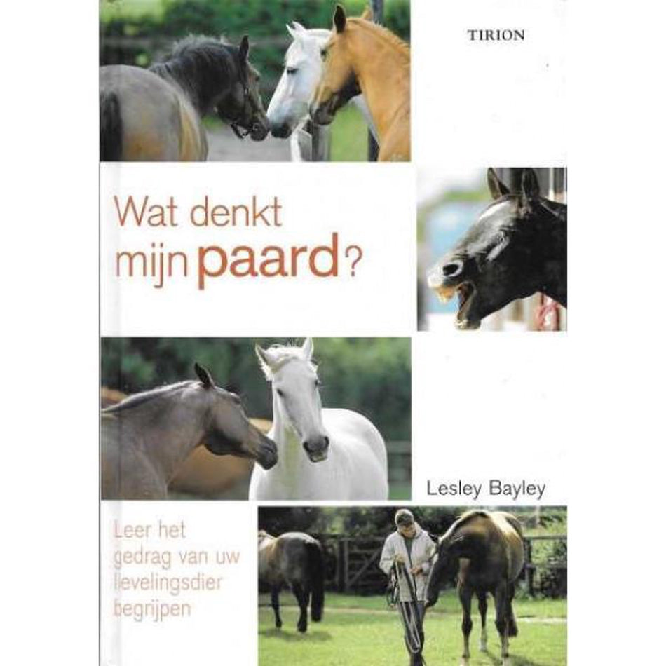 Wat denkt mijn paard?